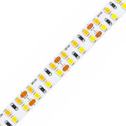 10mm SMD 2835 Dual-White LED Strip Light, 240 LEDs/m, 12V/24V