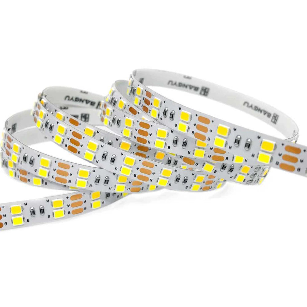 8mm 2835 dual white LED strip light, 160 LEDs/m 5V