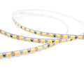ultra thin 4mm 2835 tunable white LED strip light, 162 LEDs/m 12V