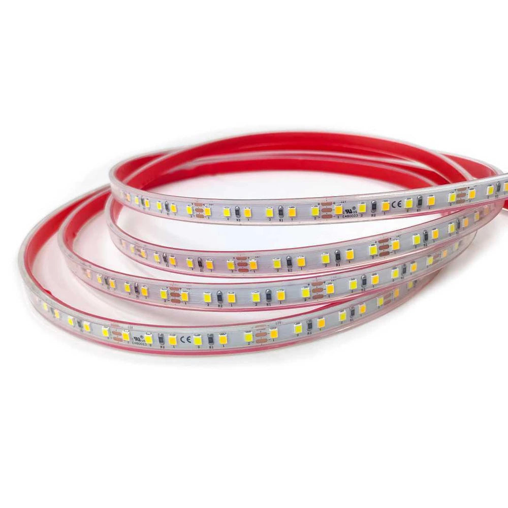 4x10mm 2835 dual white LED strip light, 120 LEDs/m 12V