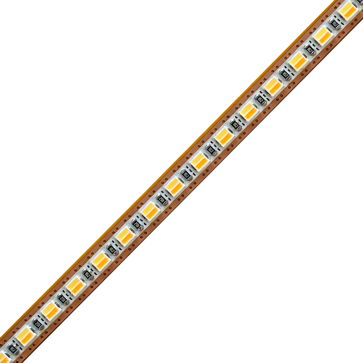 5mm SMD 2025 2-in-1 Tunable White LED Strip Light, 200 LEDs/m, 12V