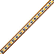 5mm SMD 2025 2-in-1 Tunable White LED Strip Light, 200 LEDs/m, 12V