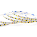 White LED Strip Lights – 5mm, 240 LEDs/m, 12V/24V, SMD 2025