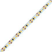 12V White LED Strip Lights – 5mm, 240 LEDs/m, 12V, SMD 2025
