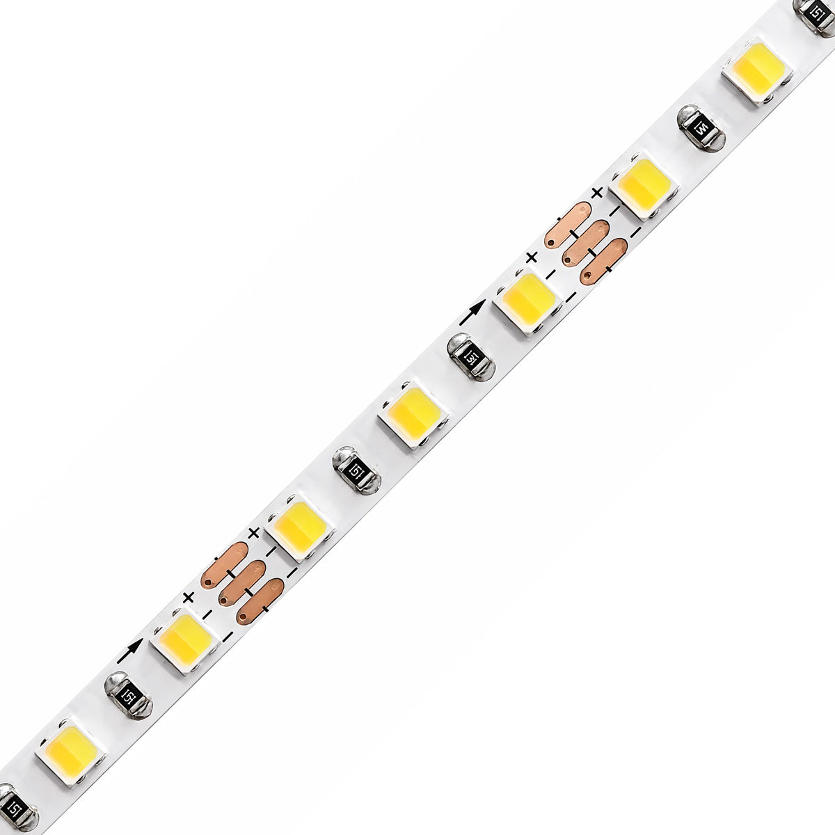5mm SMD 2835 3-Wire 2-in-1 Tunable White LED Strip Light, 120 LEDs/m, 12V/24V