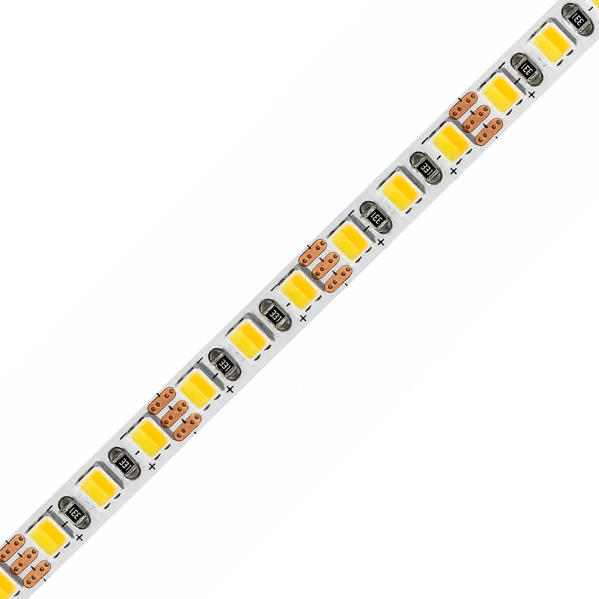 5mm SMD 2835 3-Wire 2-in-1 Tunable White LED Strip Light, 168 LEDs/m, 12V/24V