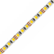 5mm SMD 2835 3-Wire 2-in-1 Tunable White LED Strip Light, 168 LEDs/m, 12V/24V