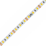 5mm SMD 2835 UL-Certified 3-Wire 2-in-1 Tunable White LED Strip Light, 120 LEDs/m, 12V