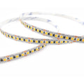 2-wire 8mm 2835 tunable white LED strip light, 168 LEDs/m 12V