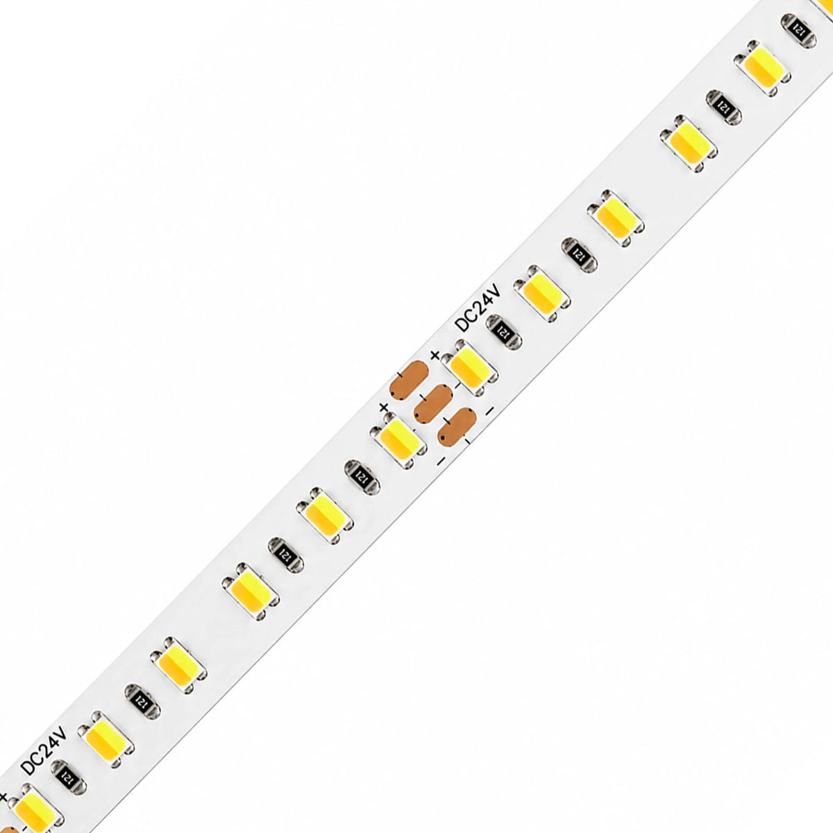 8mm SMD 2835 3-Wire 2-in-1 Tunable White LED Strip Light, 120 LEDs/m, 24V