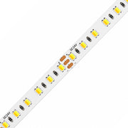 8mm SMD 2835 3-Wire 2-in-1 Tunable White LED Strip Light, 120 LEDs/m, 24V
