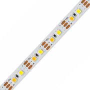 8mm SMD 2835 Dual-White LED Strip Light, 120 LEDs/m, 5V
