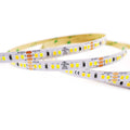 8mm 2835 dual white LED strip light, 144 LEDs/m 24V