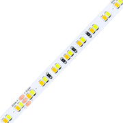 8mm SMD 2835 Dual-White LED Strip Light, 192 LEDs/m, 24V