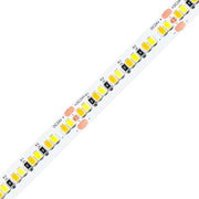 8mm SMD 2835 Dual-White LED Strip Light, 240 LEDs/m, 24V