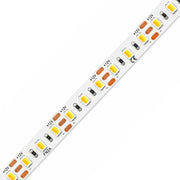 8mm SMD 2835 High-Power 3-Wire 2-in-1 Tunable White LED Strip Light, 120 LEDs/m, 12V